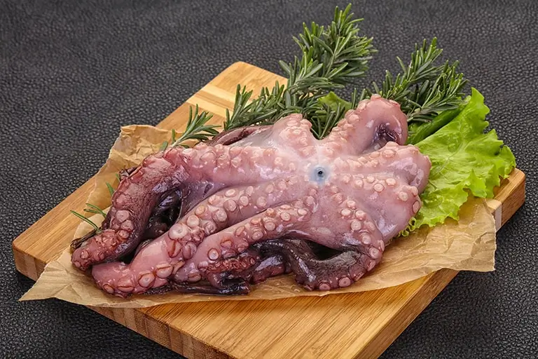 Octopus